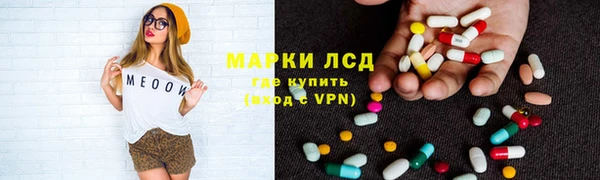 индика Алексин