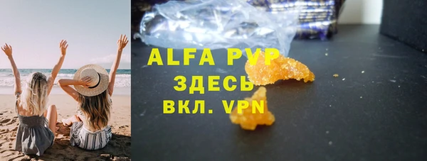 индика Алексин