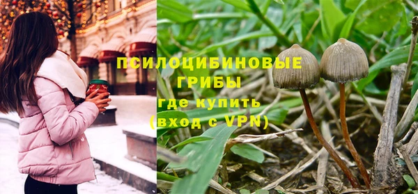 ПСИЛОЦИБИНОВЫЕ ГРИБЫ Абаза