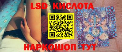 дживик Берёзовский