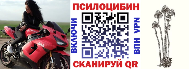 Галлюциногенные грибы Cubensis  дарнет шоп  Егорьевск 