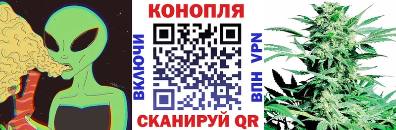 Каннабис OG Kush  Егорьевск 